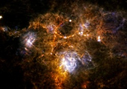 Stars in a nebula