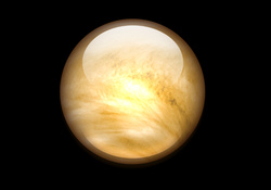 Venus HD