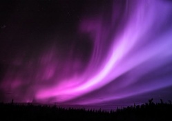 purple aurora borealis