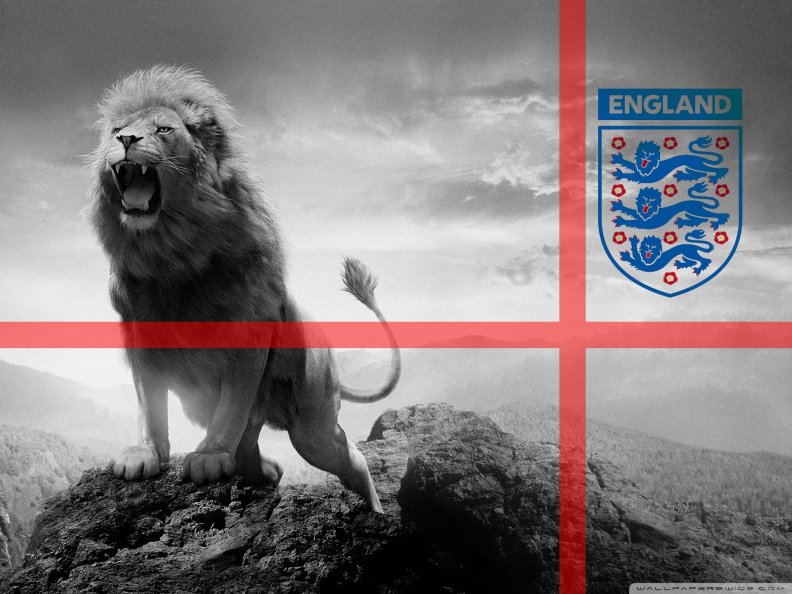 3-lions-football.jpg
