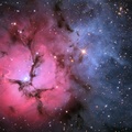 Amazing Trifid Nebula
