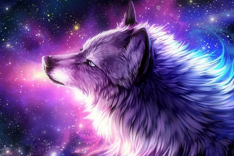 'The Galaxy Wolf'