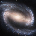 NASA Image of Spiral Galaxy NGC 1300
