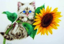 ..Sunflower Kitten..