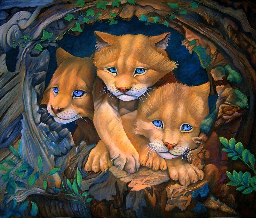 'Cougar Cubs'