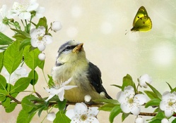 Little Bird in Apple Tree