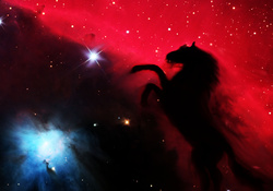 horse nebula