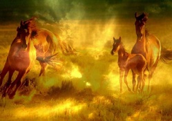 HORSES Spirits of the wind