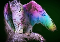 Leopard with wings