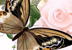 Bronze Butterflies Pink Rose