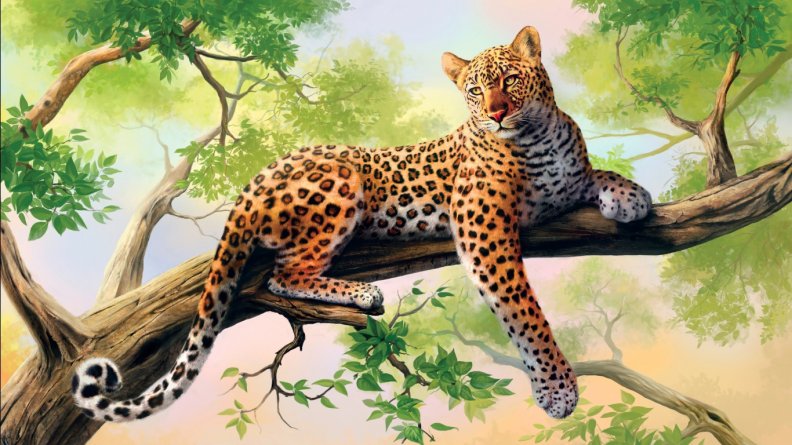 leopard_artwork.jpg