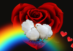 Doves In Love♥