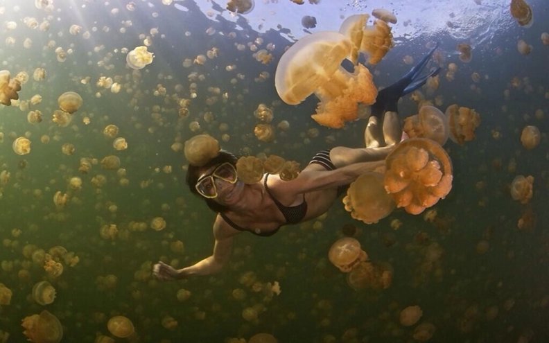 photo_of_a_crazy_girl_swimming_with_jellyfish_off_the_coast_of_queensland_australia.jpg