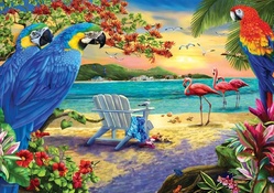 Parrots Island