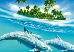 Three Sweet Dolphins