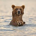 Bear & baby