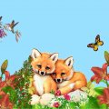 Two Foxes Hiding