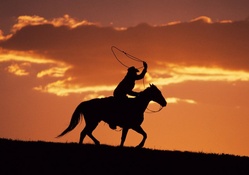 cowboy on horse silhouette at sunset
