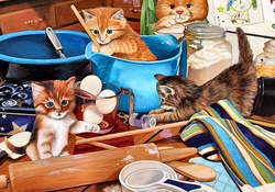 Kitchen Kittens F1