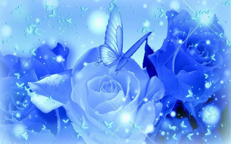 fluttering_on_blue_roses.jpg