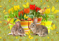 Bunnies and Tulips