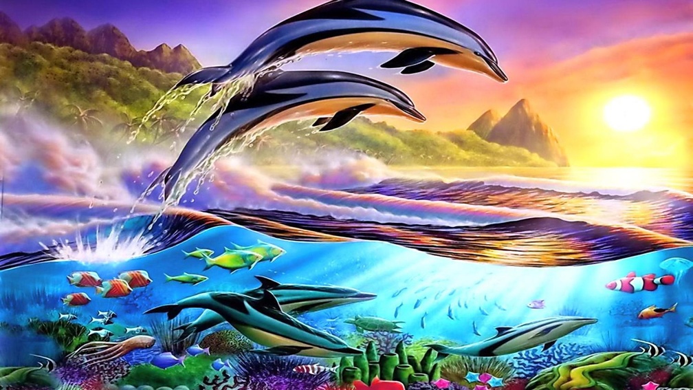 Dolphin paradise