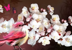 Sweet Bird Sakura Song
