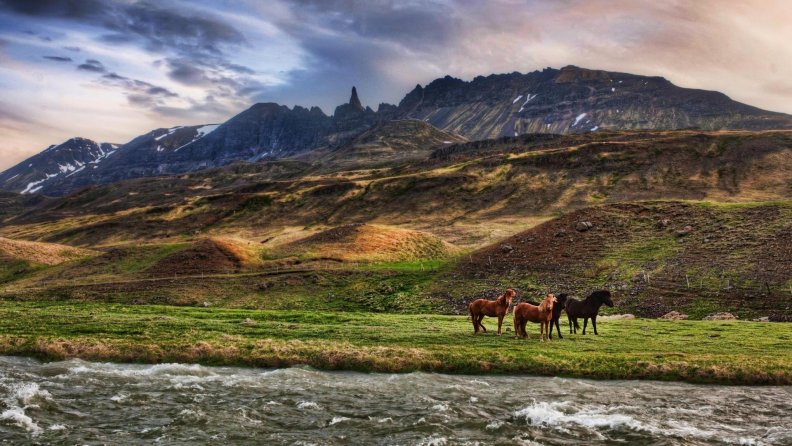 horses on the banks of a flowing river hdr