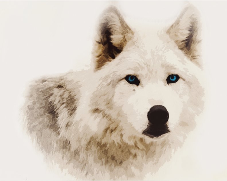 wolf art