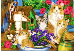 Kitties in Garden