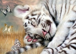 Sleep well, little Tiger
