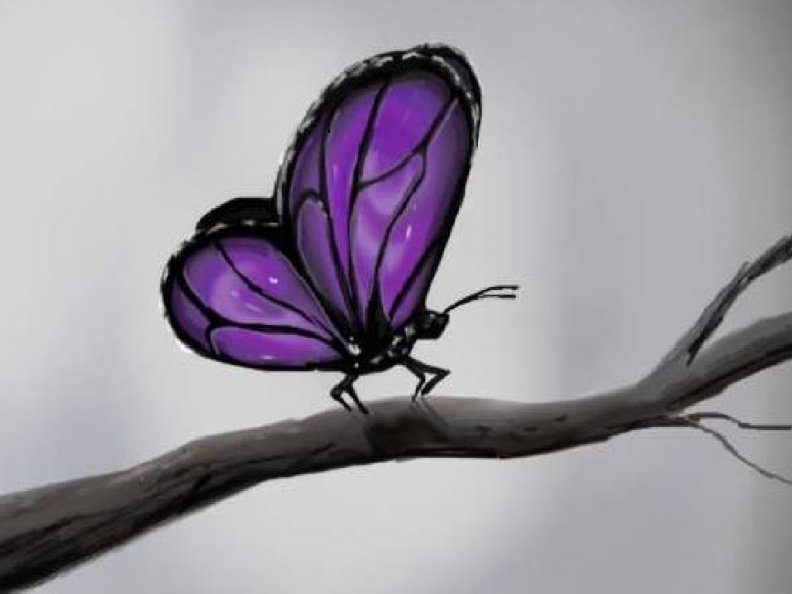 purple_butterfly.jpg