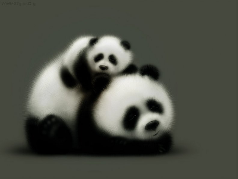 Cute panda bears