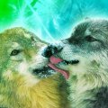 Wolf Kisses  French way