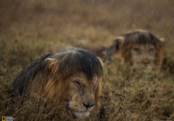 rainy day i africa