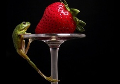 Strawberry and frog