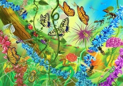 ★Splendor Insects★
