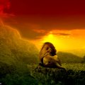 lion of judah