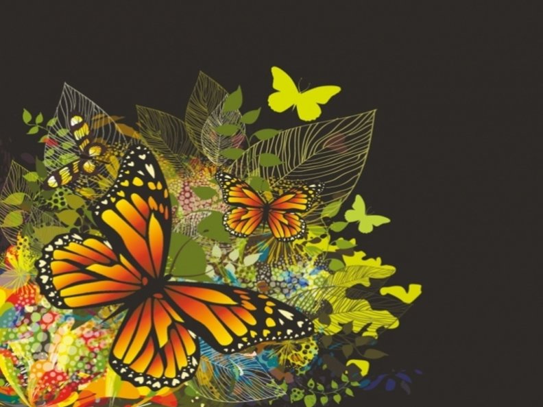 colorful_butterflies.jpg