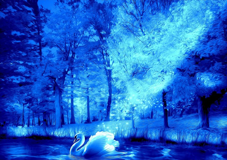 blue_swan_in_winter.jpg
