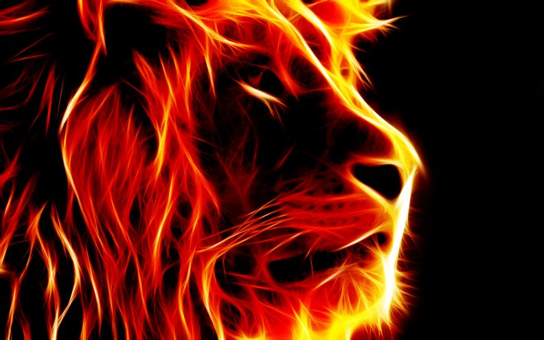 fire_lion.jpg