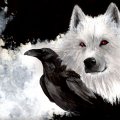 Wolves vs Crows