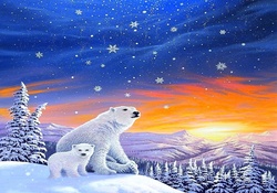 ★The Snow Bears★