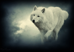 fantasy wolf