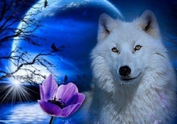 White wol fantasy