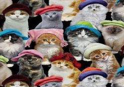 Cats With Hats