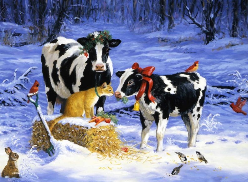 COWS FOR CHRISTMAS
