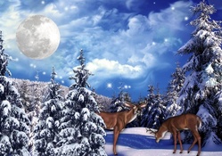 Fantasy Winter Forest