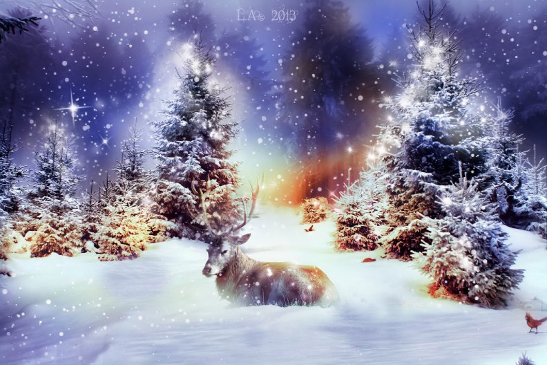 a_winter_tale_christmas_in_lapland.jpg