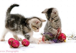 Kittens with Christmas baubles